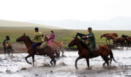牧马人 电视剧,草原传奇，牧歌岁月