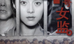 四号女监电视剧全集,揭秘女性监狱的生存法则与人性挣扎