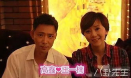 高鑫主演过的电视剧,电视剧作品盘点